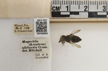 Media type: image;   Entomology 788800 Aspect: Labels